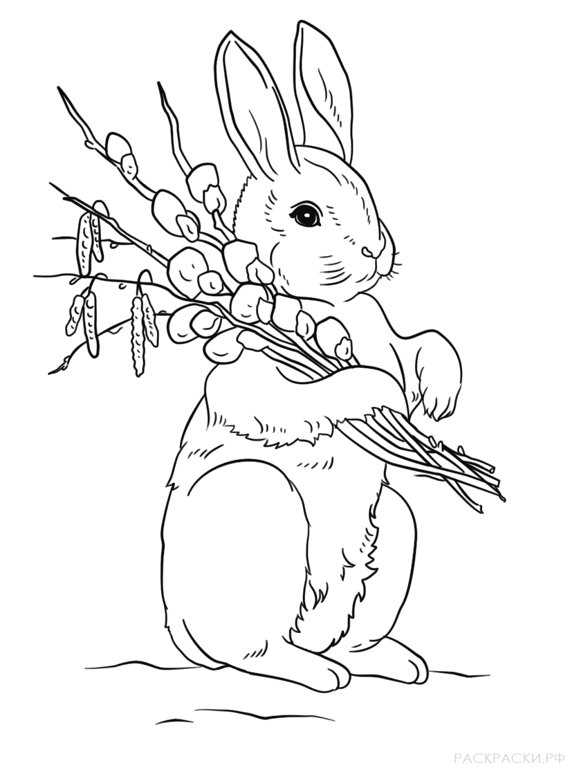 Раскраска Пасхальный кролик » Раскраски.рф - распечатать картинки раскраски  для детей бесплатно онлайн!